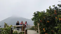 Fengjie Huantang Manwu Homestay - breakfast