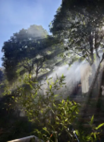 Shitai Yuansheng Suji Homestay