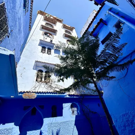 Casa Blue Star