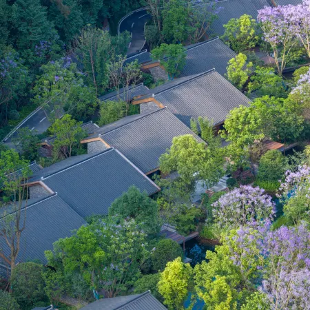 BANYAN TREE MOUNT EMEI