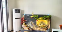 Jinhuan Apartment - parking