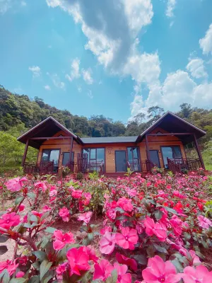 Forest and Nature Experience Center Homestay