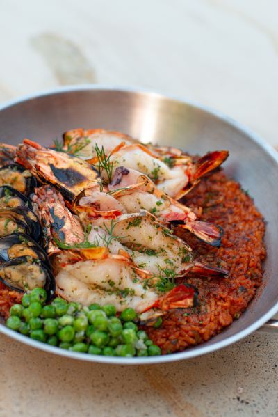 その他 ヴァイスロイバリの写真