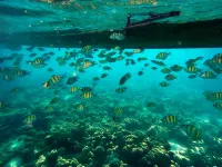 Meet Holiday Hotel-Rawai - Beach
