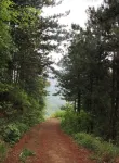 Linzhou Moye Mountain  Homestay - 3-نجوم
