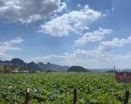Chuxiongxuan Time Inn (Yuren Ancient Town)