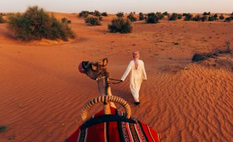 Al Maha, a Luxury Collection Desert Resort & Spa, Dubai