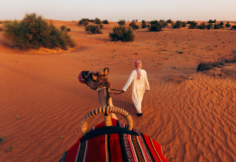 알 마하 포토 스팟