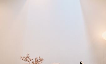 JS xiaozhai・kisaragi