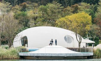 Springwoods Club Palm Tree Hotel