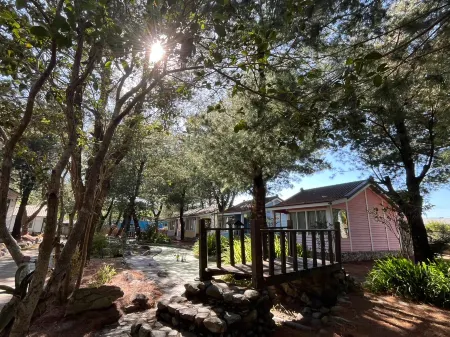 Pines Garden Отели рядом с достопримечательностью «Chung Tai Chan Monastery»