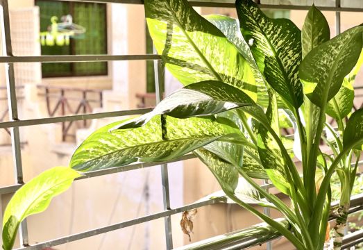 SKY Residence 객실