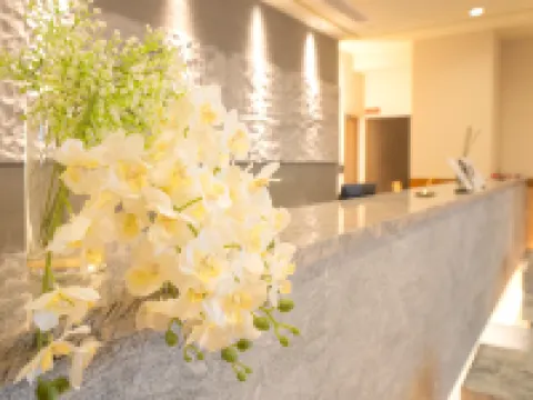 大阪關西機場酒店 泉佐野市酒店