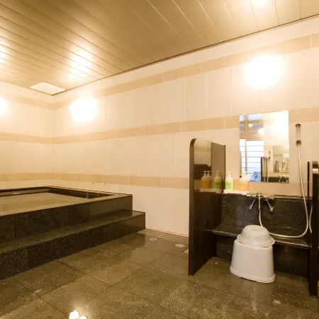 AB Hotel MikawaAnjo Honkan