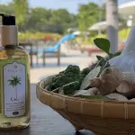 The Mangrove Hotel - spa