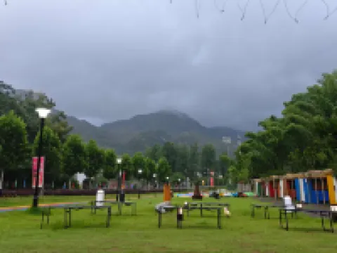 六萬情峽嶺上花開宿營地