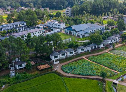 西岸禾悅生態旅遊景區民宿