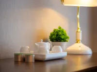 비엔나 인터내셔널 호텔 루안 바이성 둥진청