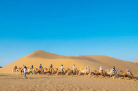 Desert Traveler Star Camping Homestay