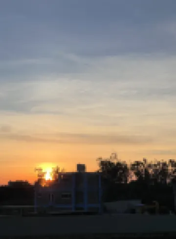 逅冶