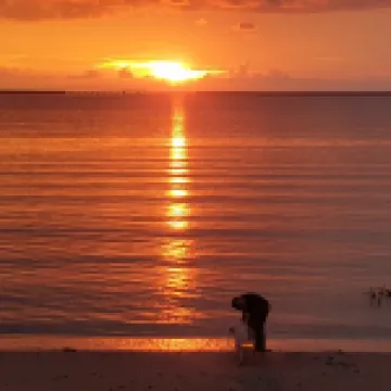 Aislinn SeaView Villa in Nature  - Luxury Private Pool