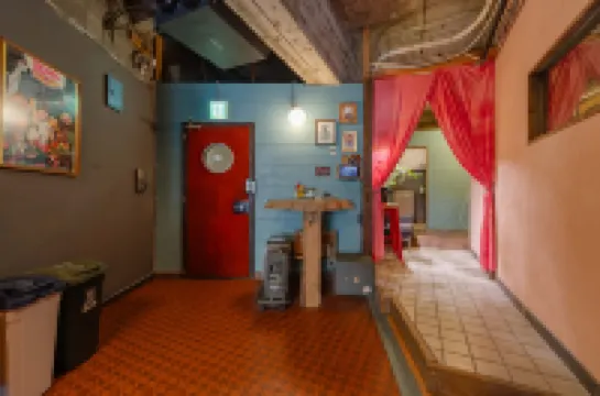 Noctarium - MountCinema