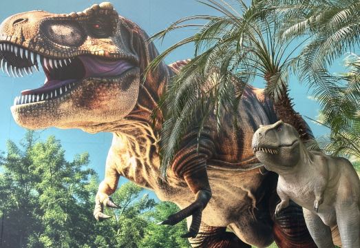 하이원 홀리데이 호텔