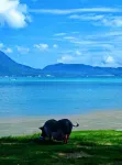 Chengqiangwai Seaview Hostel - Strand