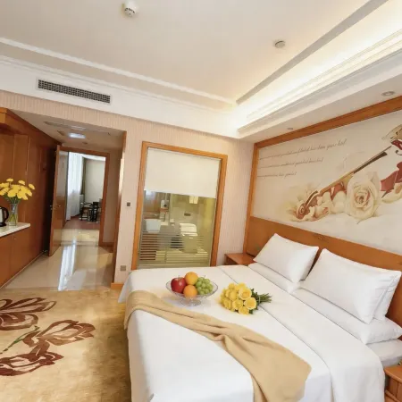 Werner Hotel (Xiaogan Wanda Plaza Hong Kong City Branch)