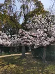 Entire House【 otonarisan】 /free parking - Mountain view