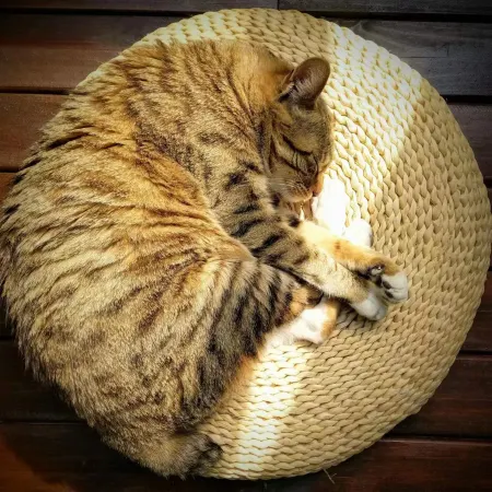 Pingtan MEOW Marcia Holiday Hostel (Aoqian Branch)