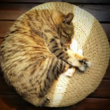 Pingtan MEOW Marcia Holiday Hostel (Aoqian Branch)