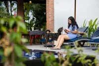 Atoh's Maison
