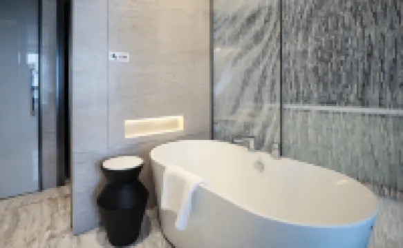 淮安高鐵金陵大酒店