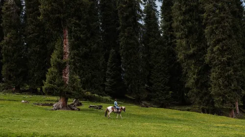 dagens ·Kafeng Ranch Hotels in Gongliu