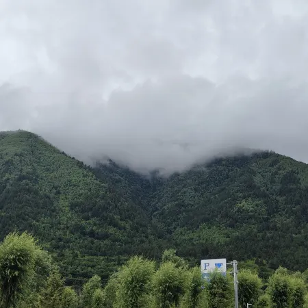 Diebu Zhuogacang Homestay