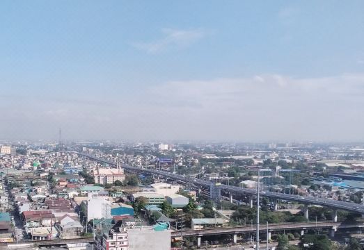 사미의 크래들, 더 셀란딘