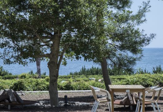 1. 오이소 프린스 ..