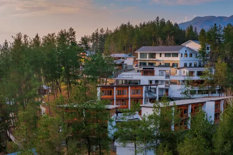 Hanjiang Homestay Cluster - Mountain Tea Homestay