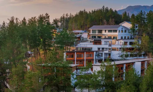Hanjiang Homestay Cluster - Mountain Tea Homestay