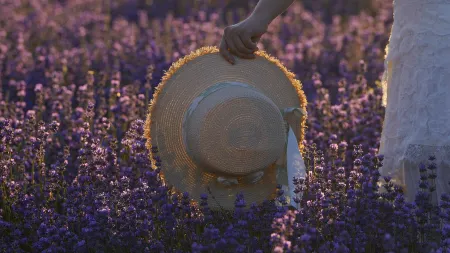 Shuxia Homestay (Huanghuangcun Branch)