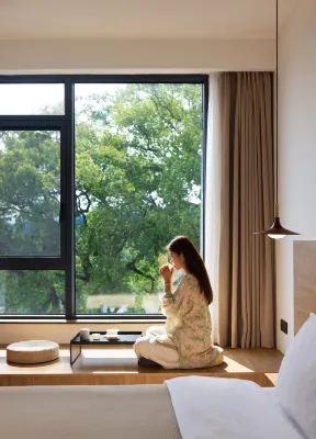 Wuyuan Treeside Camphor House Hotels in Wuyuan