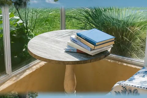 Elephant Study • Cliff Sea View Truffle Hot Spring Boutique Hotel (Fuxian Lake Scenic Area)