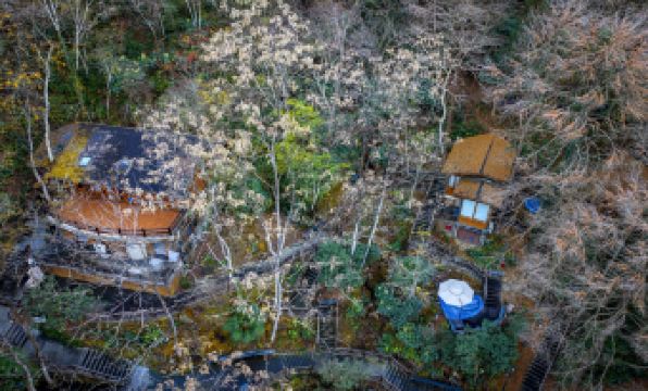 Ninghai Forest Hot Spring Resort