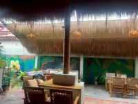 Noah’s Ark Cannabis Bar Restaurant Hostel