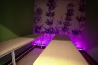 Za'faron Premium Hotel - spa