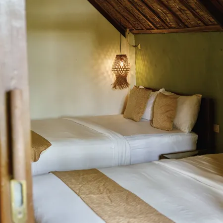 Jungle Nest Resort