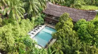 Jungle Nest Resort