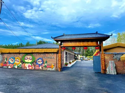 良辰故里主題民宿（長春龍嘉國際機場高鐵站店） - 機場接送