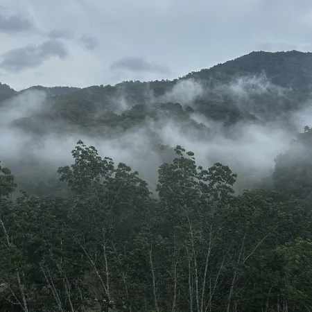 Mengla Naka Rainforest Homestay